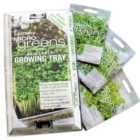 Microgreens Basil, Coriander & Rocket Growing Kit