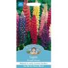 Mr Fothergills Seeds - Lupin Russell Mixed