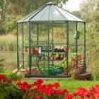Vitavia Hera 8' x 7' Horticultural Glass Greenhouse - Green