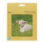 M&S Cute Animal Easter Card Pack 6 per pack