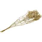 Dried Gypsophila Bouquet - Natural