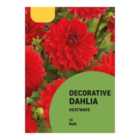 Dahlia Decorative Heatwave Red Flower bulb
