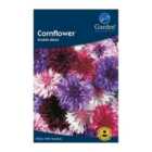 Cornflower Double Mxd (Centaurea cyanus) Grow Your Own Seeds