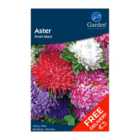 Aster Dwarf Mxd (Callstephus chinensis) Grow Your Own Seeds