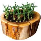 Eco Grill Organic Pod Round Planter