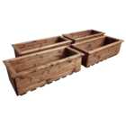 Charles Taylor Large Trough 4 Pack