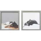 Cosy Kitties Framed Art - Grey