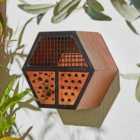 Hexagon Insect House