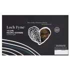 Loch Fyne Scottish Oysters 12 per pack