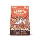 Lily's Kitchen Chicken & Salmon Puppy Recipe Grain-Free Dry Dog Food, 1kg