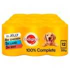 Pedigree In Jelly Selection, 12x385g