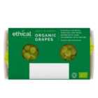 Ethical Food Company Organic Green Grapes 300g