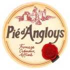 Pie d'Angloys French Soft Cheese, 200g