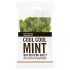 Cooks' Ingredients Mint, 25g