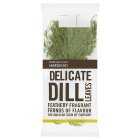 Cooks' Ingredients Dill Leaves, 20g