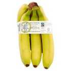 Duchy Organic Fairtrade Bananas, 6s