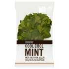 Cooks' Ingredients mint, 100g