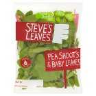 Steve's Leaves Pea Shoots, Baby Spinach & Baby Chard, 60g