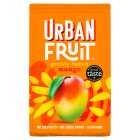 Urban Fruit No Added Sugar Baked Mango, 100g