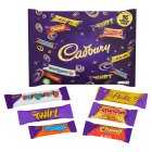 Cadbury Family Treatsize Chocolate Multipack 14 Pack, 207g