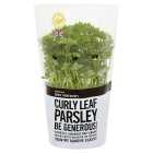 Cooks' Ingredients Curly Parsley
