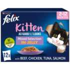 Felix As Good As It Looks Kitten Mixed Selection in Jelly Wet Cat Food 12 x 100g