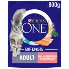 Purina ONE Adult Cat Rich in Salmon Dry Food 800g