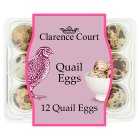 Clarence Court Quail Eggs, 12s