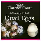 Clarence Court Ready to Eat Quail Eggs, 12s