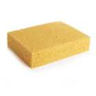 Wilko Best Cellulose Sponge
