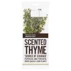 Cooks' Ingredients Thyme, 20g