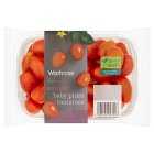 Waitrose Baby Plum Tomatoes, 400g