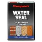 Thompson's Water Seal 5 Litres