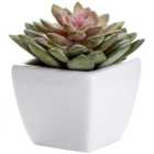 Wilko Artificial Succulent Plant in Ceramic Pot