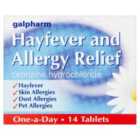 Galpharm Hayfever & Allergy Relief Tablets Cetirizine 14 per pack