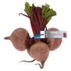 Waitrose Bunched Beetroot, 500g