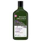 AOrganic Lavender Shampoo, 325ml