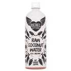 Rebel Kitchen Raw 100% Organic Coconut Water 750ml