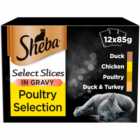 Sheba Select Slices Poultry in Gravy Cat Food Pouches 12 x 85g