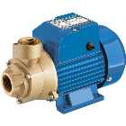 Clarke CEB103 1" 230V Centrifugal Brass Body Water Pump