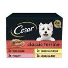 Cesar Classics Terrine Dog Food Trays Mixed In Loaf 8 x 150g