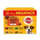 Pedigree Mixed Selection in Jelly Adult Wet Dog Food Pouches 40 x 100g