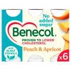 Benecol No Added Sugar Peach Apricot Yogurt Drinks, 6x67.5g