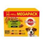 Pedigree Adult Wet Dog Food Pouches Mixed Gravy Mega Pack 40 x 100g