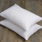 Pack of 2 Teflon Ultimate Stain Resistant Back Sleeper Pillows