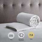 Fogarty Anti-Allergy White Goose Feather and Down 7.5 Tog Duvet