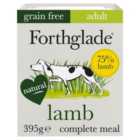 Forthglade Complete Lamb, Butternut Squash & Veg Grain Free 395g
