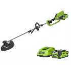 Greenworks GWGD40BCK2 40V 2 in 1 Trimmer with 2Ah Battery and Charger