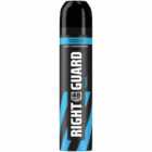 Right Guard Cool Anti Perspirant Deodorant 250ml