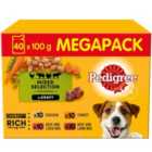 Pedigree Adult Wet Dog Food Pouches Mixed Selection in Gravy Mega Pack 40 x 100g